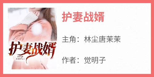 护妻战婿全文试读 林尘唐茉茉小说全本无弹窗