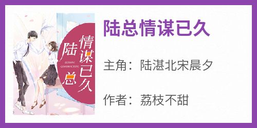 《陆总情谋已久陆湛北宋晨夕》陆总情谋已久全文免费阅读【完整章节】