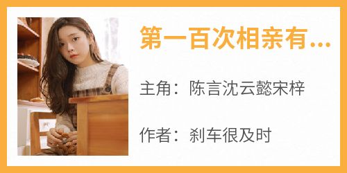 全网首发完整小说第一百次相亲有点脱轨主角陈言沈云懿宋梓在线阅读