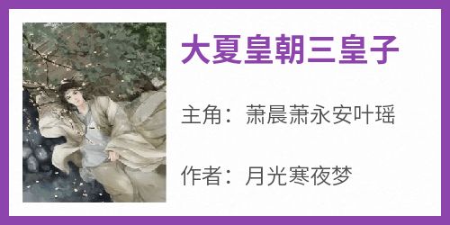 《大夏皇朝三皇子》无广告阅读 萧晨萧永安叶瑶免费在线阅读