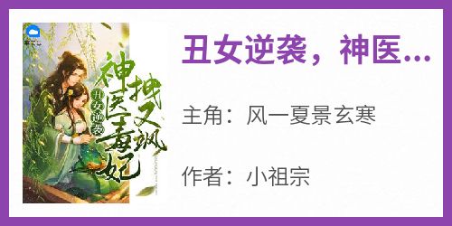 快手丑女逆袭，神医毒妃拽又飒小说全本章节大结局