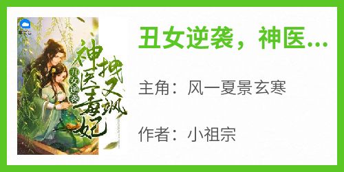 《丑女逆袭，神医毒妃拽又飒》小说风一夏景玄寒最新章节阅读