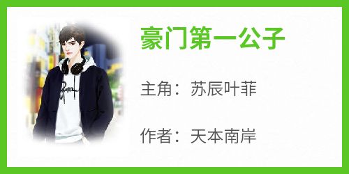 主人公苏辰叶菲小说豪门第一公子在线全文阅读