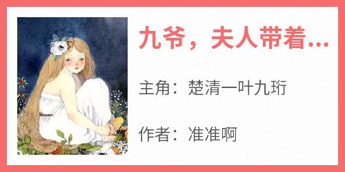 九爷，夫人带着崽崽回来了(楚清一叶九珩)全文章节在线阅读