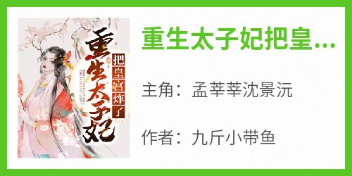 抖音重生太子妃把皇宫炸了小说章节阅读