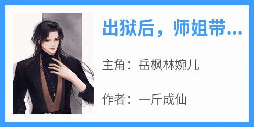 主角是岳枫林婉儿的小说出狱后，师姐带我去抢亲最完整版热门连载