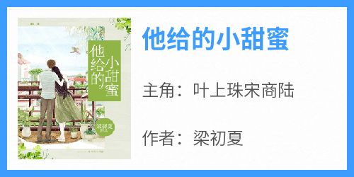 叶上珠宋商陆小说《他给的小甜蜜》全文阅读