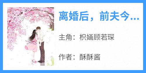 《离婚后，前夫今天追妻火葬场了么》枳婳顾若琛-小说未删减阅读