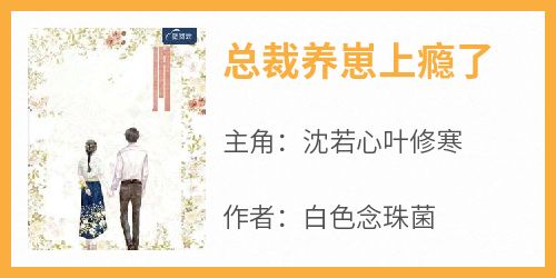 《总裁养崽上瘾了》小说免费阅读 沈若心叶修寒大结局完整版