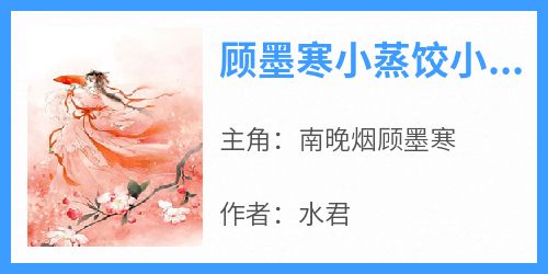 南晚烟顾墨寒完整版《顾墨寒小蒸饺小包子》全文最新阅读