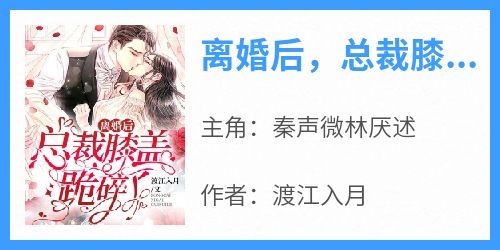 抖音完结《离婚后，总裁膝盖跪碎了》秦声微林厌述(全文在线阅读)