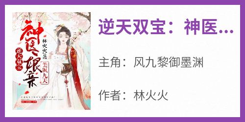 免费完结小说《逆天双宝：神医娘亲美飒九天风九黎御墨渊》无弹窗免费阅读