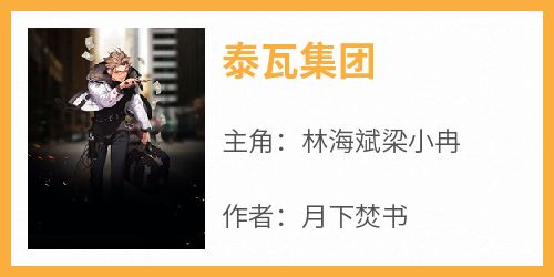 【新书】《泰瓦集团》主角林海斌梁小冉全文全章节小说阅读