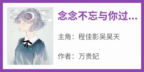 (精品)念念不忘与你过往小说