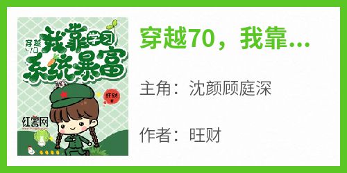 爆款热文沈颜顾庭深在线阅读-《穿越70，我靠学习系统暴富》全章节列表