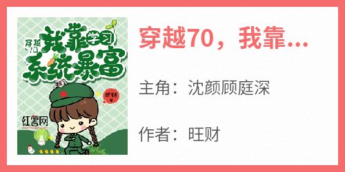 正版小说《穿越70，我靠学习系统暴富》沈颜顾庭深在线免费阅读