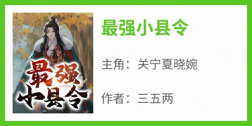 关宁夏晓婉完整版《最强小县令》全文最新阅读