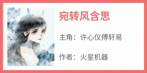 许心仪傅轩易完整版《宛转风含思》全文最新阅读