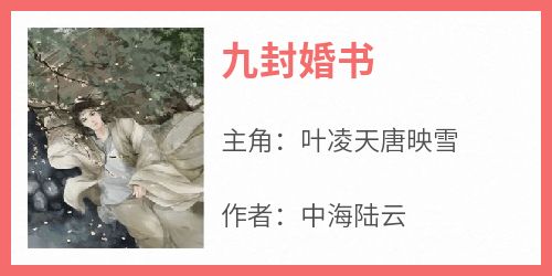 九封婚书by中海陆云