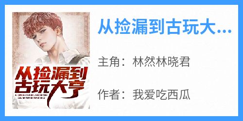 《从捡漏到古玩大亨林然林晓君》从捡漏到古玩大亨全文免费阅读【完整章节】