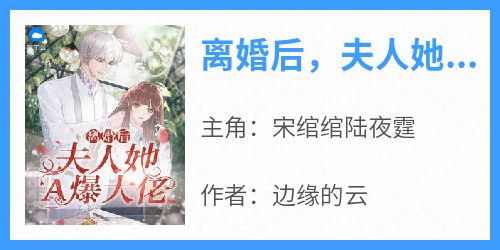 《离婚后，夫人她A爆大佬》快手热推宋绾绾陆夜霆免费阅读