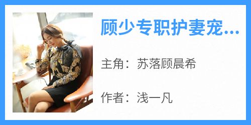 好文热推小说顾少专职护妻宠妻主角苏落顾晨希全文在线阅读