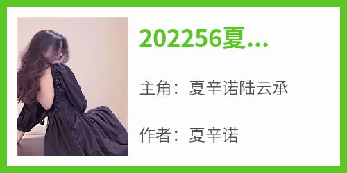 202256夏辛诺陆云承全文目录-夏辛诺陆云承小说无弹窗阅读