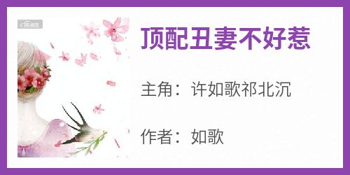 《顶配丑妻不好惹》by如歌小说完结版在线阅读