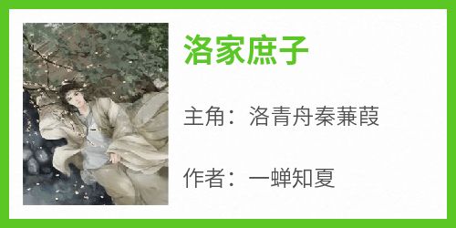 洛青舟秦蒹葭小说无广告阅读