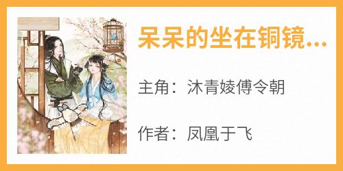 沐青婈傅令朝《呆呆的坐在铜镜前》全文(沐青婈傅令朝)章节免费阅读