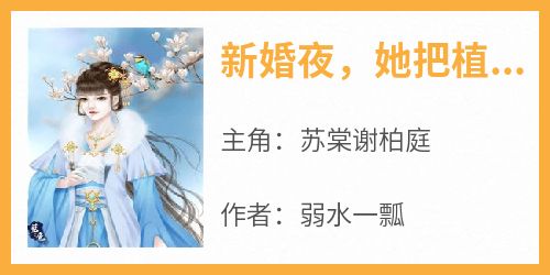 《新婚夜，她把植物人相公气活了》苏棠谢柏庭小说完整在线阅读