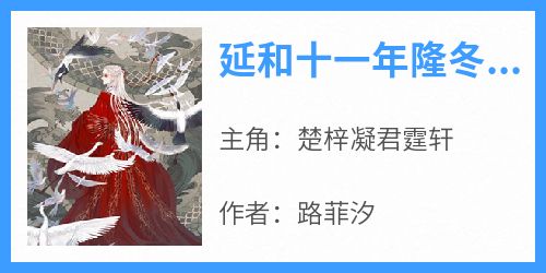 (抖音)延和十一年隆冬，大雪楚梓凝君霆轩小说免费全文阅读