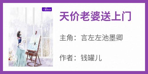 书荒必备《天价老婆送上门》全文章节阅读