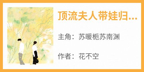 【热文】《顶流夫人带娃归来》主角苏暖栀苏南渊小说全集免费阅读