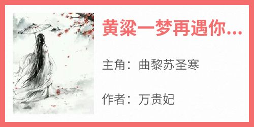 (抖音小说)曲黎苏圣寒小说全文阅读免费