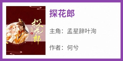 主角是孟星辞叶洵的小说叫什么《探花郎》免费全文阅读