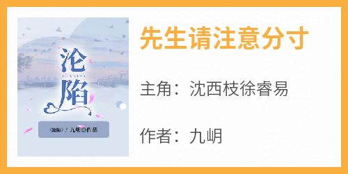 主角沈西枝徐睿易小说爆款《先生请注意分寸》完整版小说