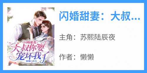 新上《闪婚甜妻：大叔你要宠坏我了》懒懒小说免费阅读