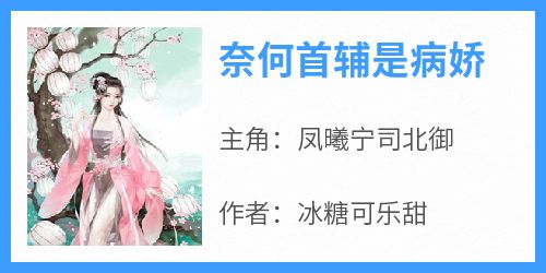 抖音小说《奈何首辅是病娇》凤曦宁司北御全文txt