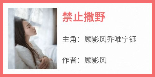 顾影风乔唯宁钰是哪部小说的主角 顾影风乔唯宁钰全文阅读