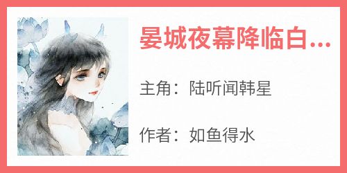 陆听闻韩星小说《晏城夜幕降临白雪初停华灯初上》全文阅读