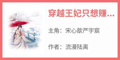 《穿越王妃只想赚钱》最新章节免费阅读by流漫陆离无广告小说