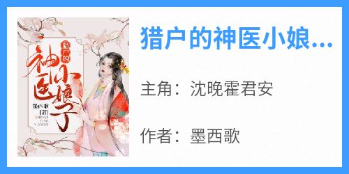 (热推新书)《猎户的神医小娘子》沈晚霍君安无弹窗阅读