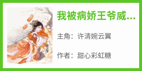 抖音小说许清婉云翼《许清婉云翼》无弹窗试读