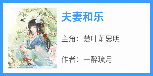 （全集-免费）夫妻和乐完本小说_楚叶萧思明全文免费阅读