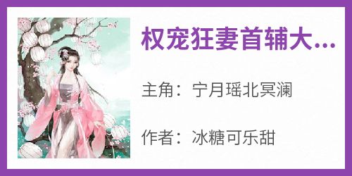 (精品)权宠狂妻首辅大人太偏执小说