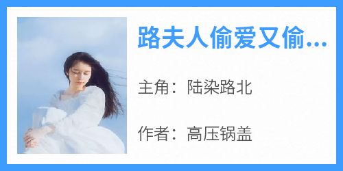 高压锅盖写的小说路夫人偷爱又偷心在线阅读