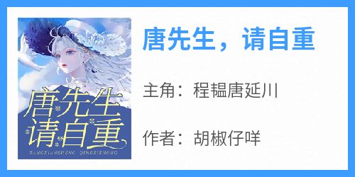 程韫唐延川小说哪里可以看 小说《唐先生，请自重》全文免费阅读