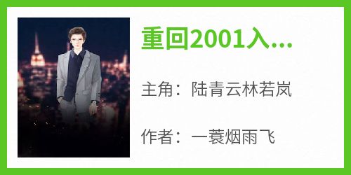 (抖音)重回2001入仕官途陆青山 主角陆青云林若岚