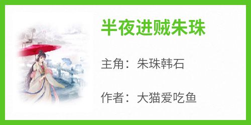 《半夜进贼朱珠朱珠韩石》半夜进贼朱珠全文免费阅读【完整章节】